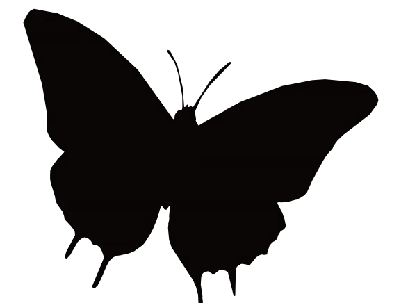 joewilxclusive logo