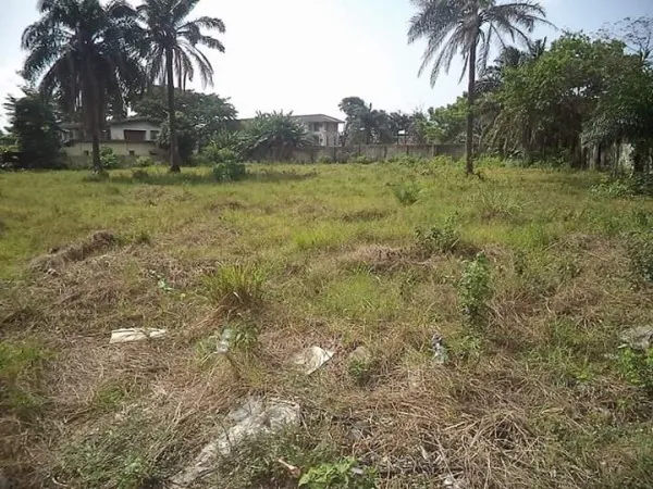 Lad-White Ventures Ltd/Lad-White Real Properties