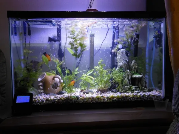 LakeView Aquarium