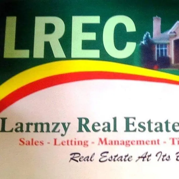 Larmzy Real Estate Consulting