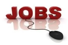 Leadway Career Network (LCN) logo