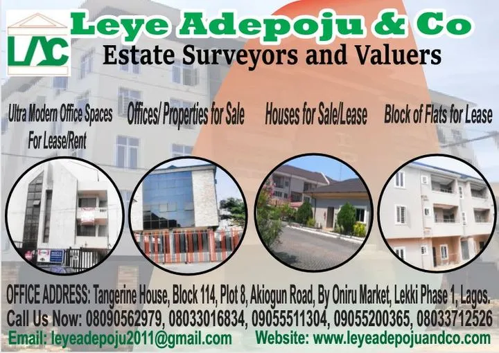 Leye Adepoju & Co.