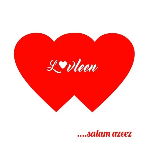 Lovleen Toys Industries Ltd