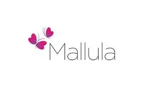 Mallula Animation And Multi-Media Limited