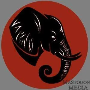 Mastodon Photo Studio Oshodi/Ikeja