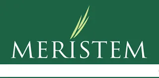 Meristem Securities (Abuja)