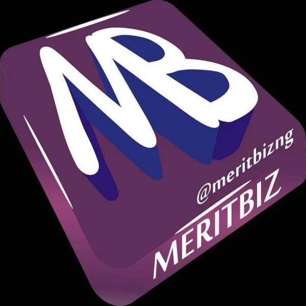 Merit Biz logo