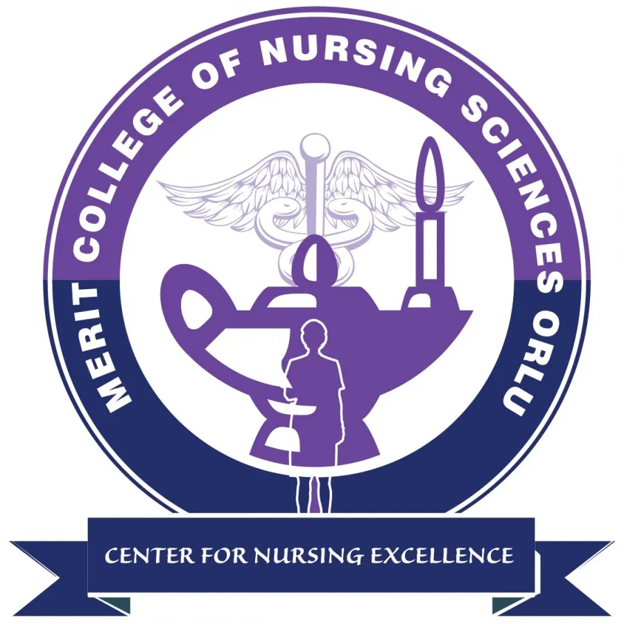 Merit College of Nursing Sciences