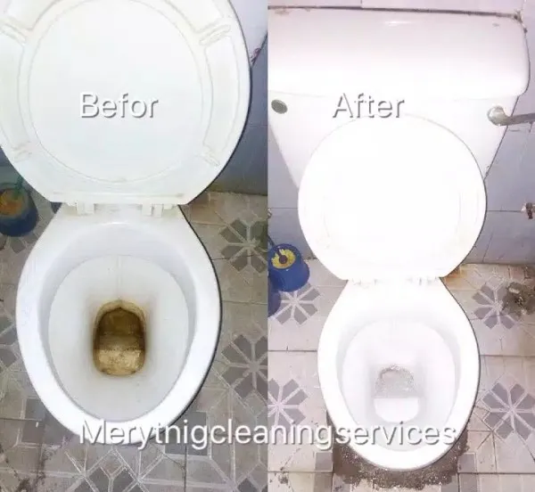 Meryt Nigeria Cleaning Services