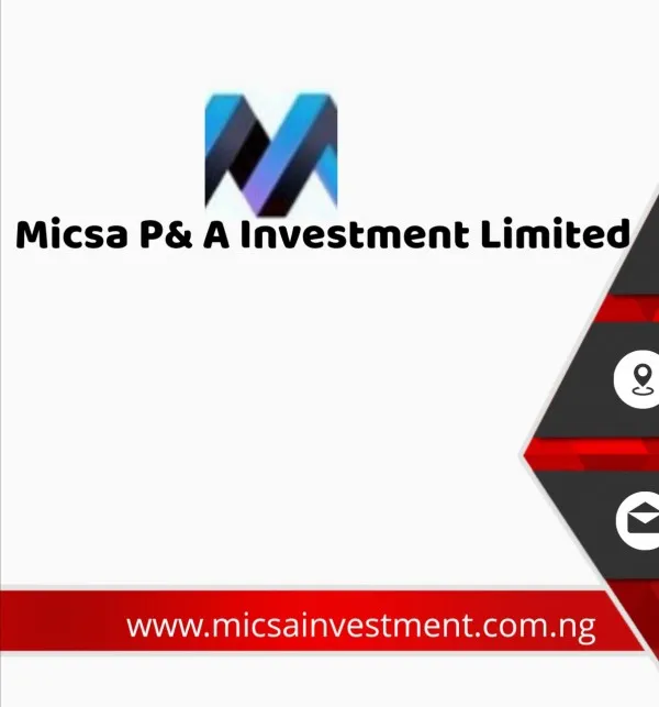 Micsa P & A Investment