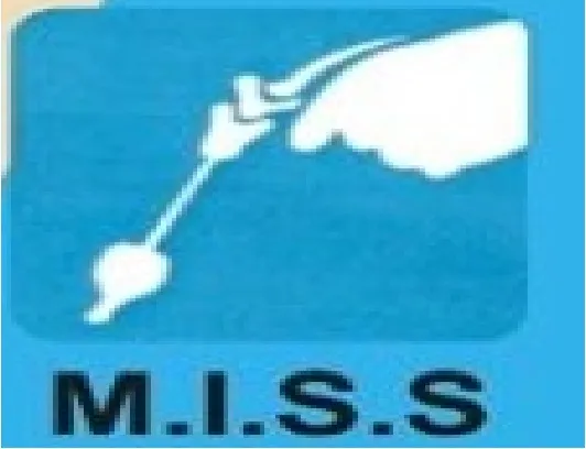 Minimally Invasive Surgical Solution