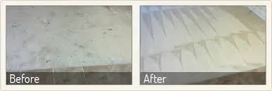Mintville Cleaning Services logo