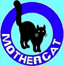 Mothercat Nigeria Limited