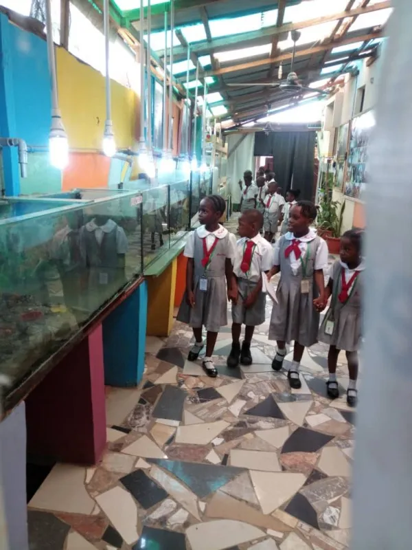Mr Fish Ltd