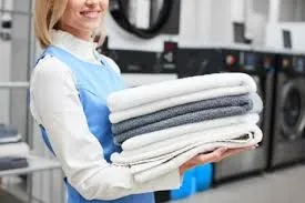 Nathan's Superior Dry Cleaning And Laundry Services