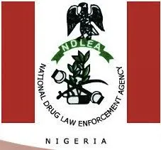National Drug Law Enforcement Agency (ndlea)