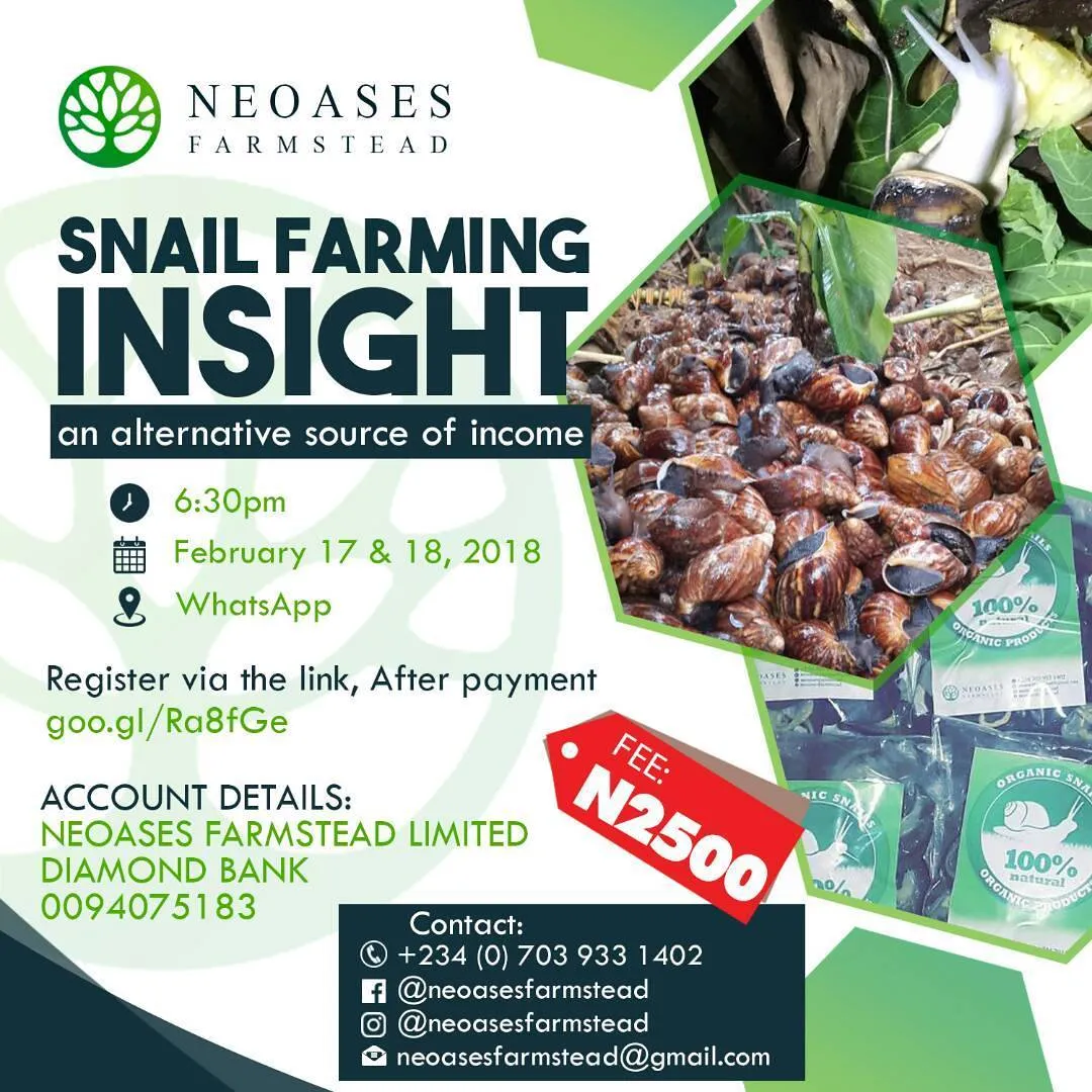 Neoases Farmstead Limited