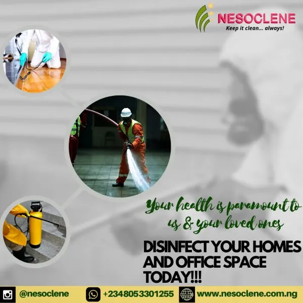 Nesoclene Services Limited