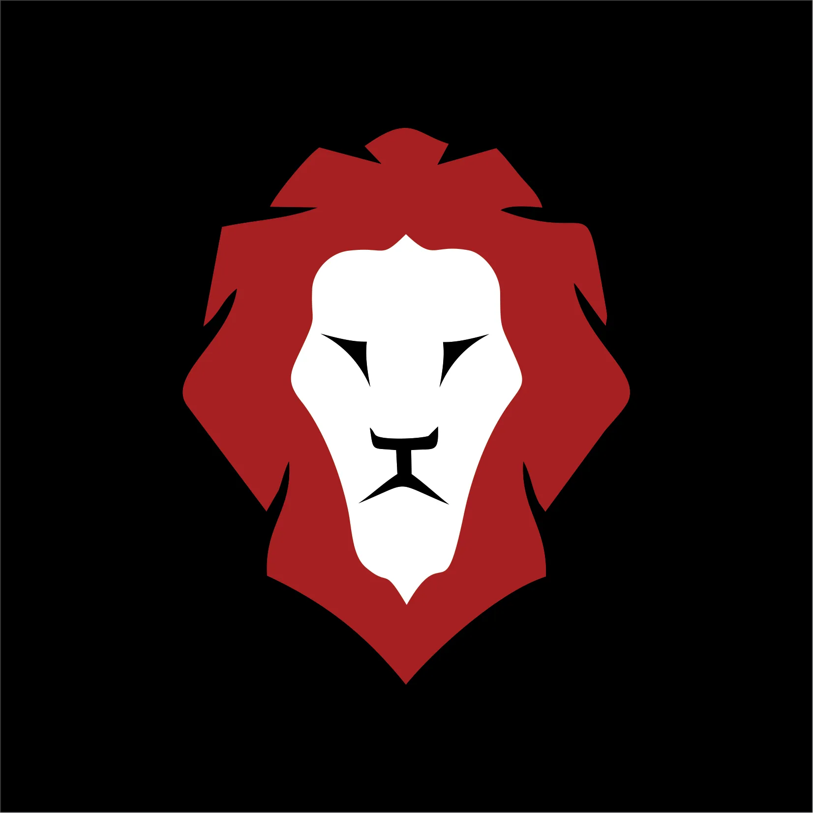 Netcat Technology Solutions LTD