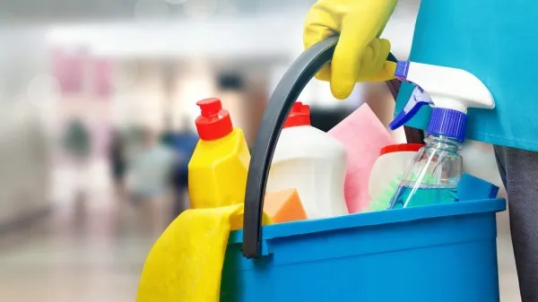 NIGERIA CLEANING SERVICE LTD