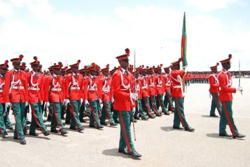 Nigeria Defence Academy Kaduna logo