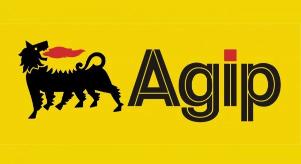 Nigerian Agip Oil Company Limited Nigeria NAOC logo