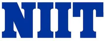 Niit Nigeria logo