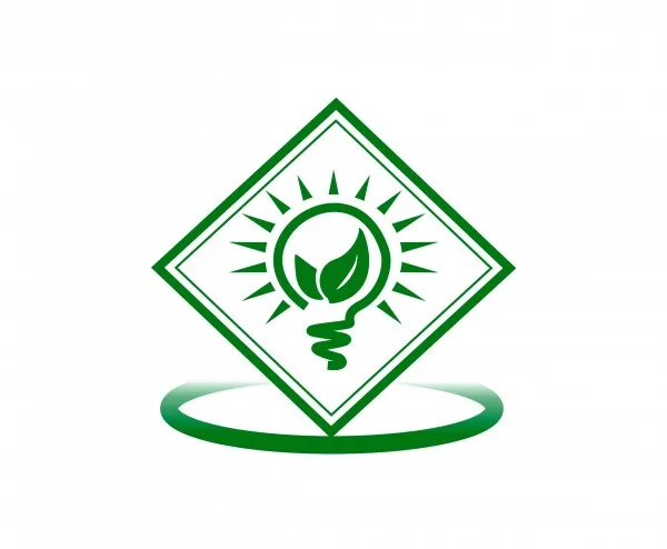 Ninija Electric Limited