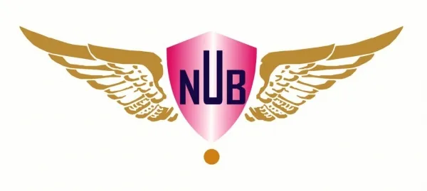 Nub Consulting