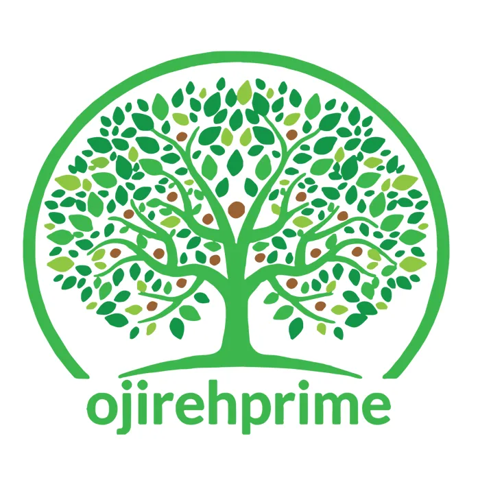 Ojirehprime Financial Services