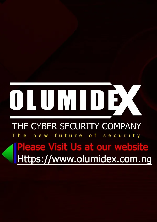 Olumidex Cybersecurity Company logo