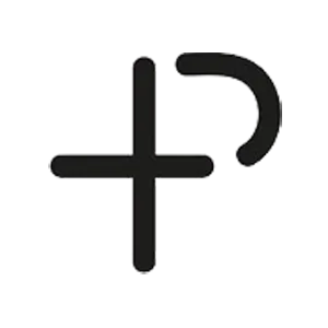P Plus Measurement Services logo