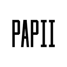 Papiistores
