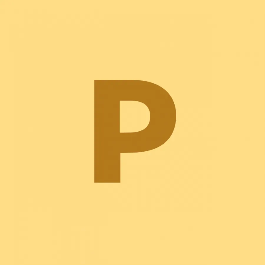 Payasap logo