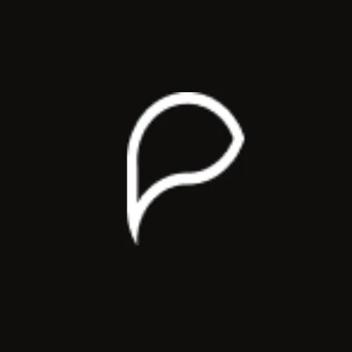 Payyng logo