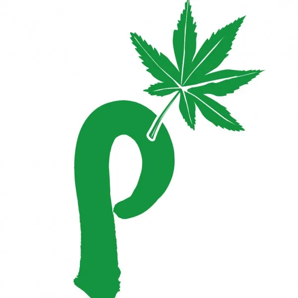 Perfect Academy logo