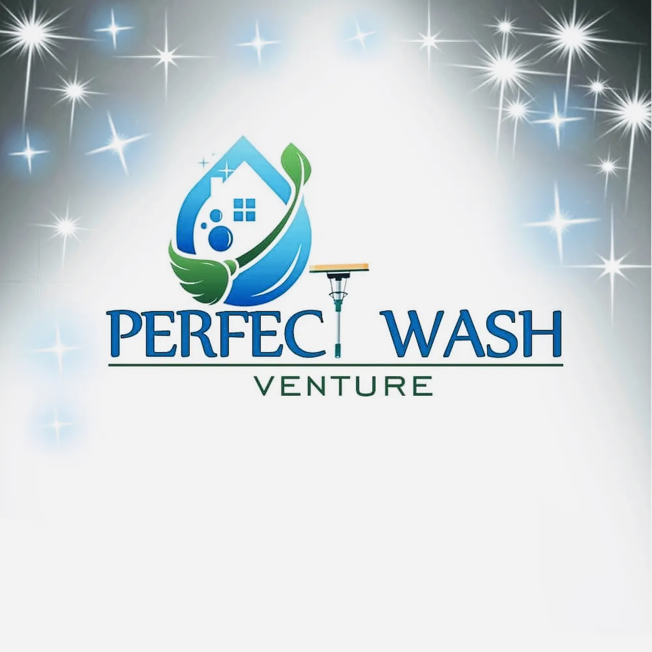 Perfect Wash Venture
