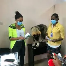 Pets haven veterinary
