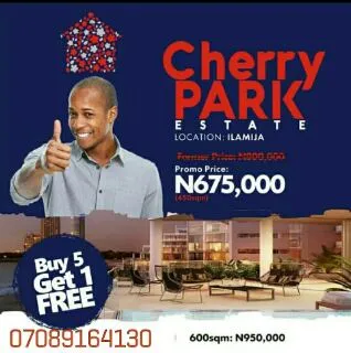 Platinum properties limited