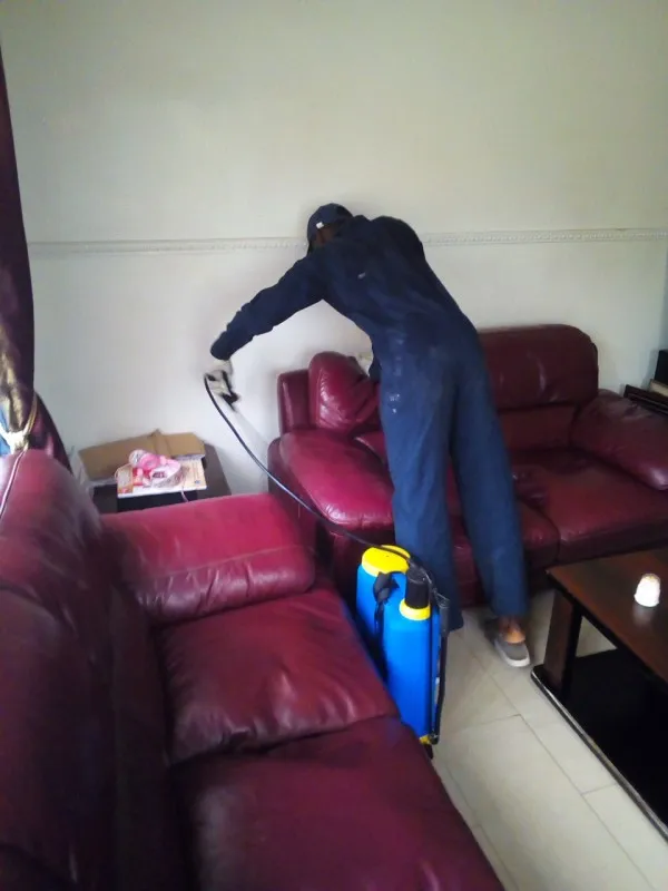 Premium Cleaning Services
