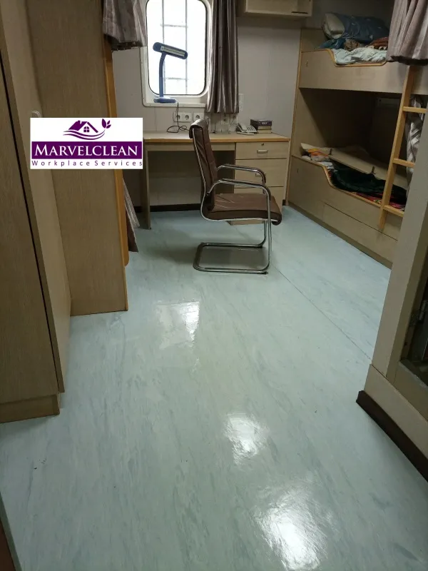 Professional House Cleaner logo