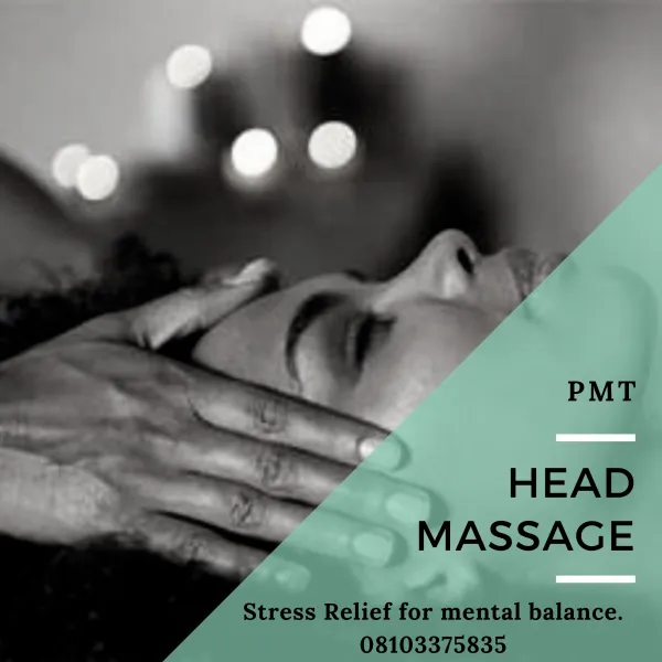 Professional Massage Therapist