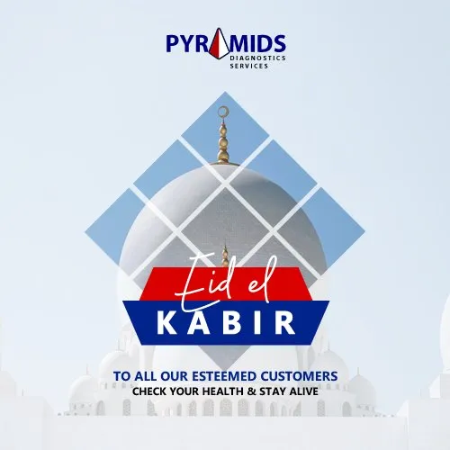 Pyramids Medical Diagnostics