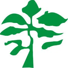 Rccg Olive Tree