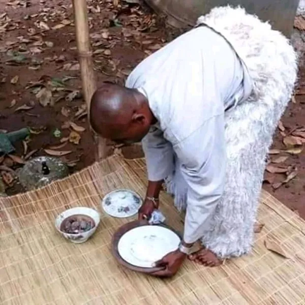 Real spiritual herbalist native doctor in Nigeria logo