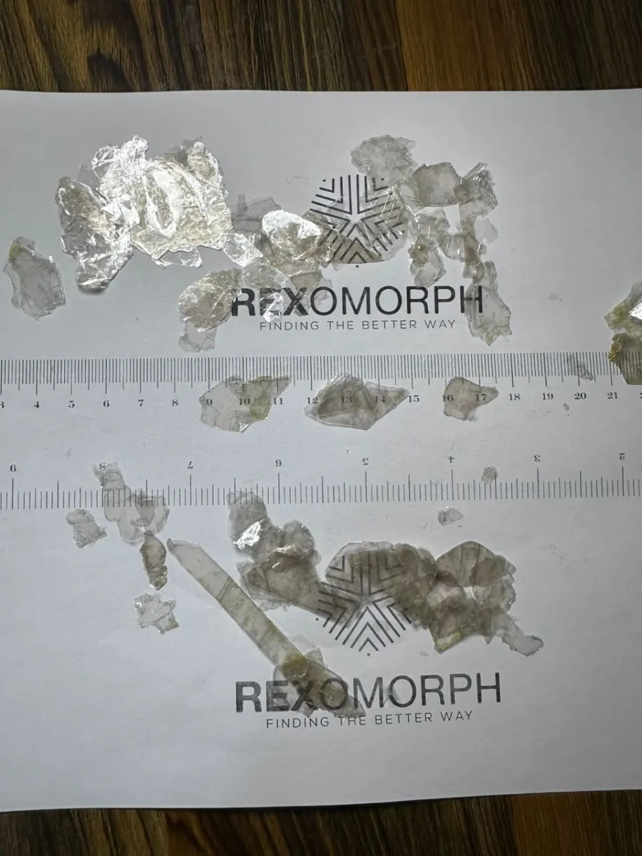 Rexomorph Limited