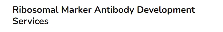 Ribosomal Marker Antibody