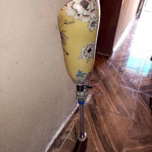 Rocaprosthetics Ortho Care Enterprises