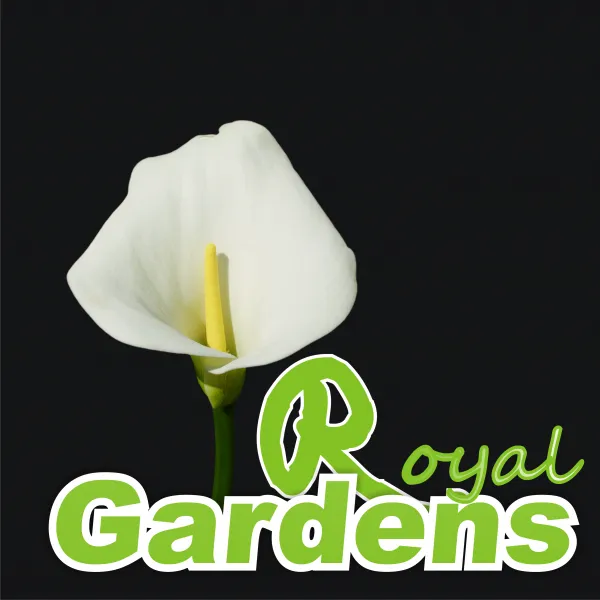 Royal Gardens