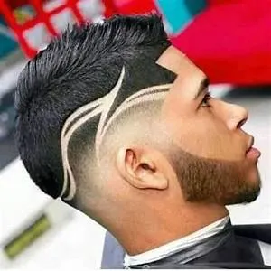 Royal Next Rostimarp